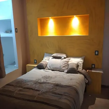Penthouse Con Roof Garden Privado Aeropuerto Cdmx Apartment