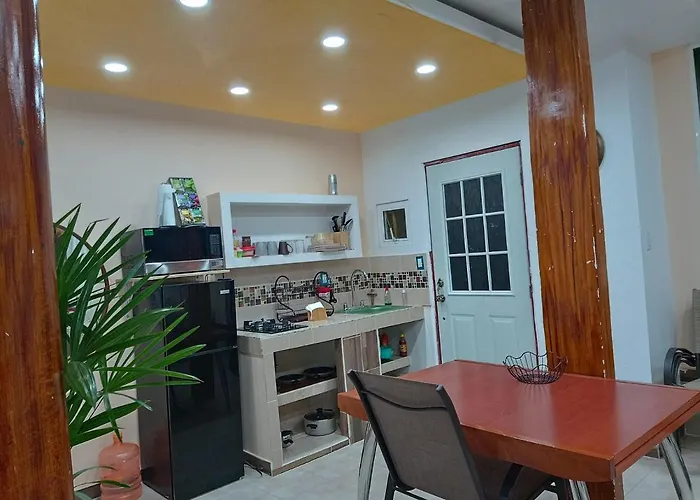 Penthouse Con Roof Garden Privado Aeropuerto Cdmx Apartment